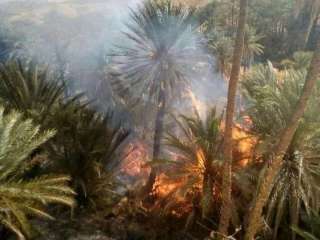 اندلاع حريق هائل فى أشجار النخيل والمانجو  شمال أسوان