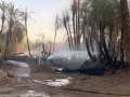اندلاع حريق ببعض أشجار النخيل بقرية عزبة المصرى بأسوان..دون إصابات أو خسائر فى الأرواح