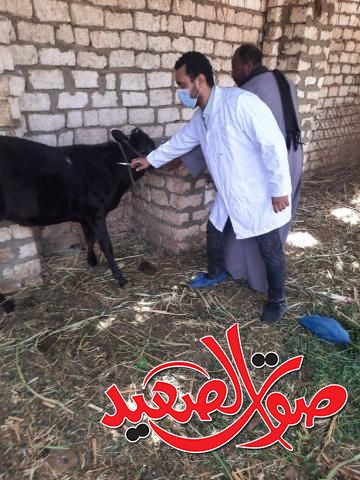 حملات بيطرية