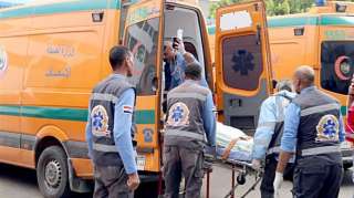 بالأسماء.. مصرع طفلين وإصابه 3 آخرين تحت عجلات جرار زراعي بمزرعة في الوادي الجديد 